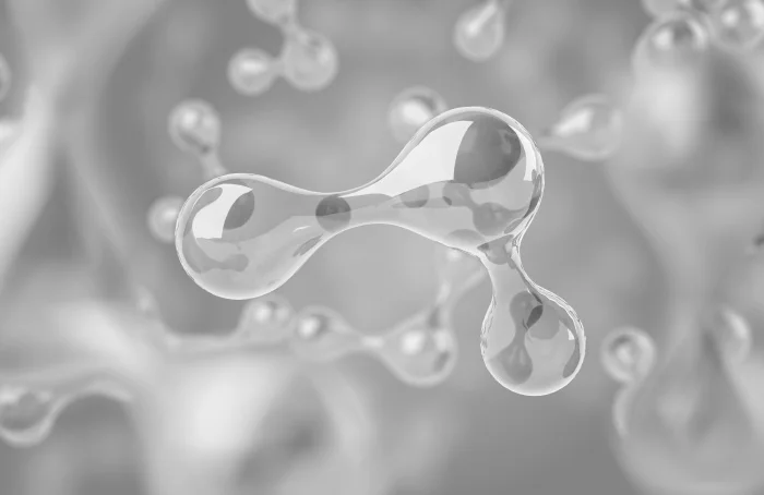 Copyright: DIE GAS- UND WASSERSTOFFWIRTSCHAFT